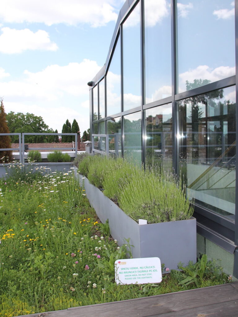 Semi-intensive Green Roof