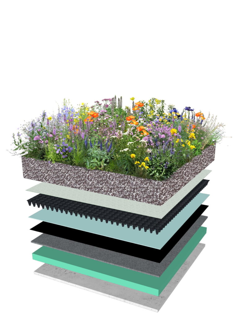 Semi-intensive Green Roof
