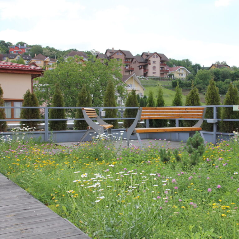 Semi-intensive Green Roof