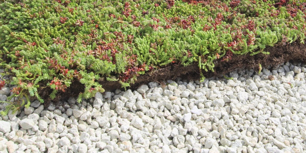 Řešení EcoStratos pro výzvy spojené s rašelinovým substrátem