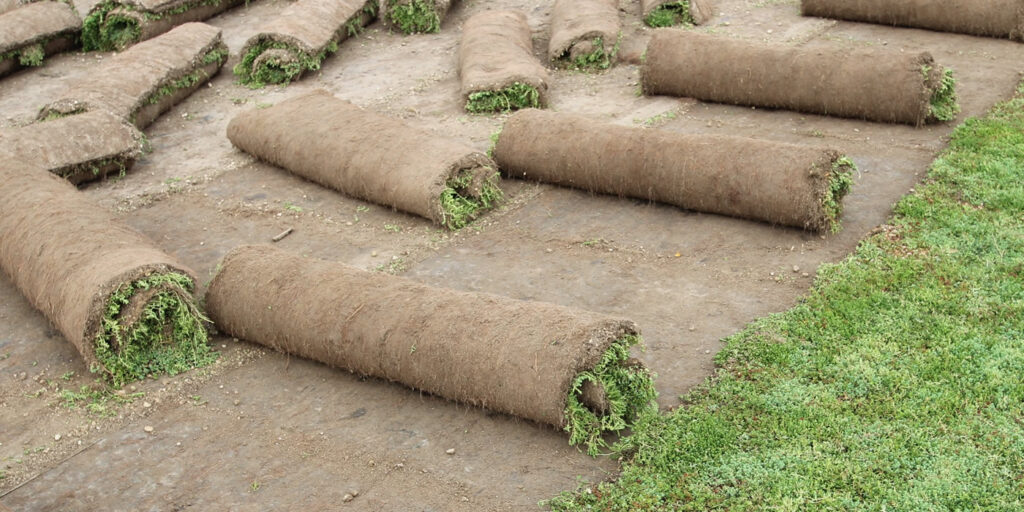 Řešení EcoStratos pro výzvy spojené s rašelinovým substrátem