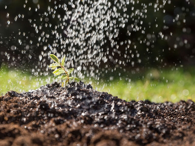 Due to extreme climatic conditions, water resources are increasingly limited