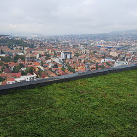 The Role of Green Roofs in nZEB Constructions