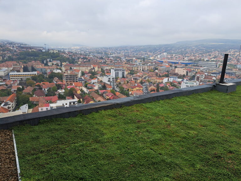 The Role of Green Roofs in nZEB Constructions