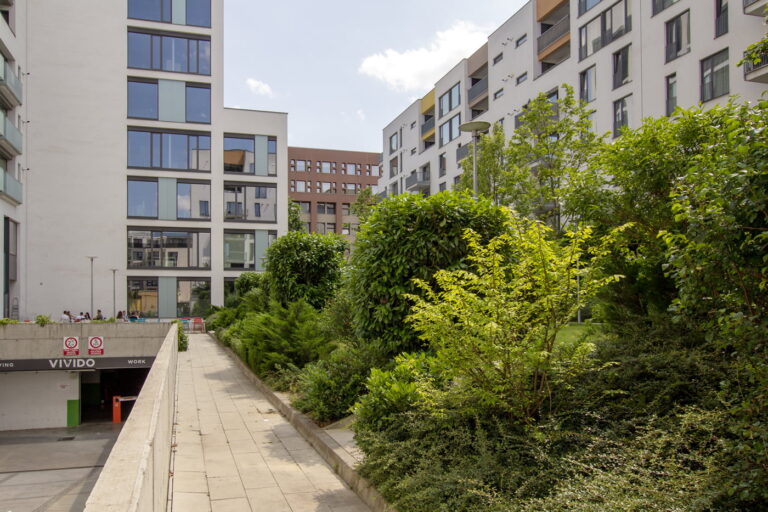 Tree Anchoring System