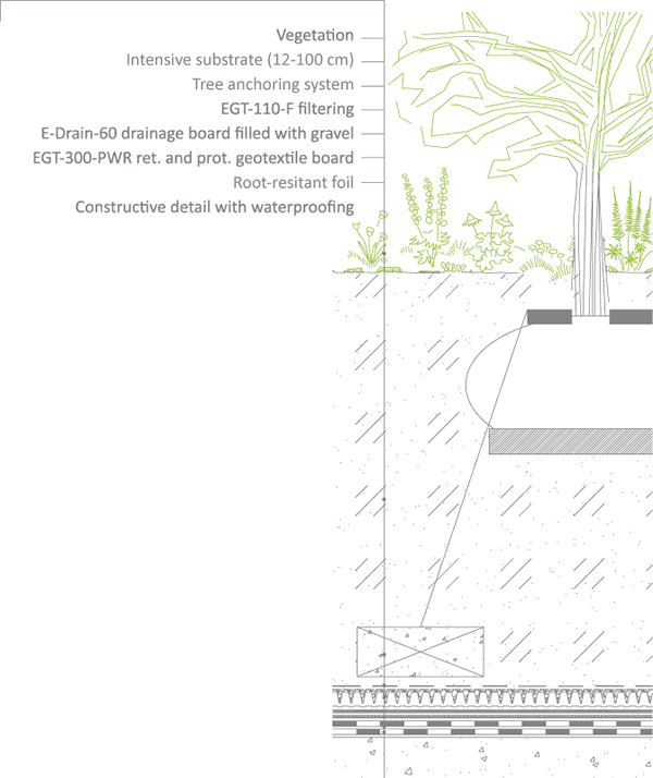 Tree Anchoring System