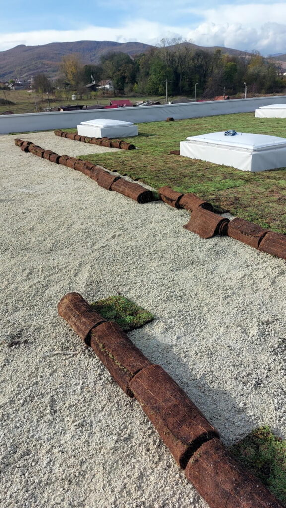 Urban Ensemble Alba Iulia